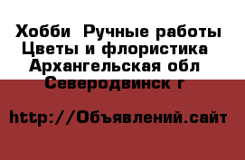 Хобби. Ручные работы Цветы и флористика. Архангельская обл.,Северодвинск г.